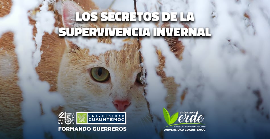 Los secretos de la supervivencia invernal