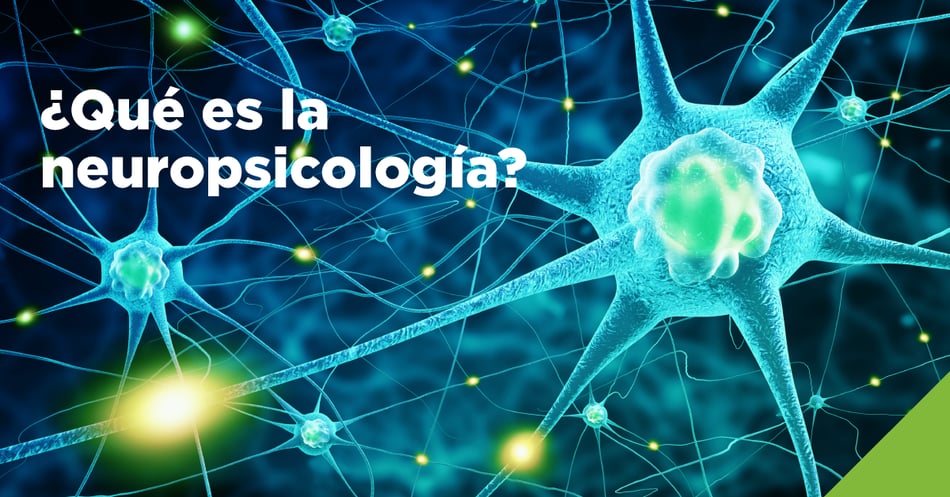 ¿Qué es la neuropsicología?