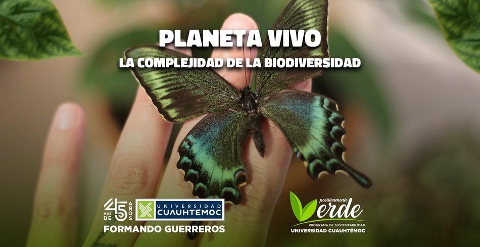 Planeta vivo: La complejidad de la biodiversidad