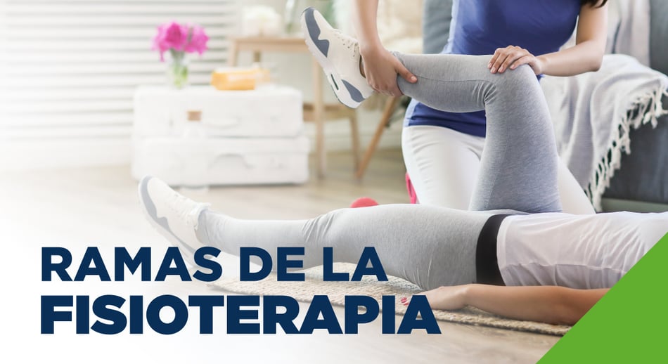 Ramas de la fisioterapia